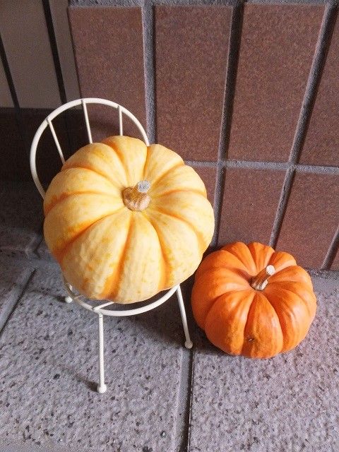 DSCF7711