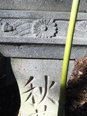 11025635_772618096162102_4977977555767302422_n