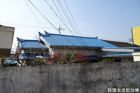 DSC08944_R