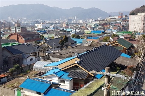 20190301_113318_R