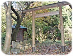 毘沙門天と鳥居250