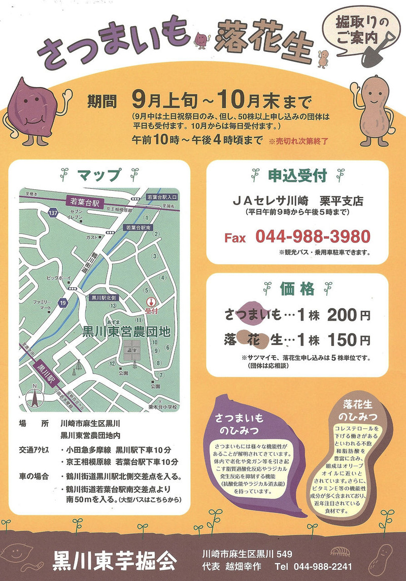 芋掘りH25チラシ