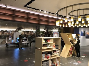 UNADJUSTEDNONRAW_thumb_35c0