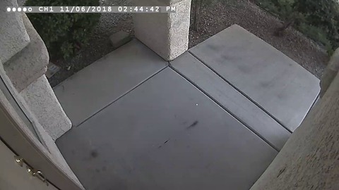 eco85f99ad54-1-20181117-194639
