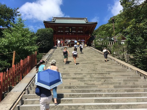 20180731_041533024_iOS
