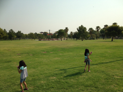 20160724_160724925_iOS