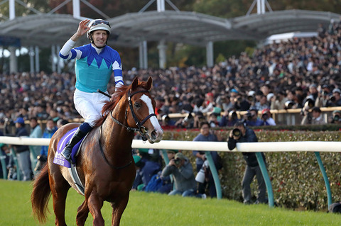 2018ジャパンカップ無料情報