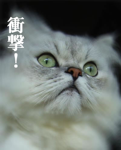 クリックすると新しいウィンドウで開きます