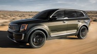 8774f6f9-2020-kia-telluride-1