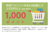 楽天Rebates １０００ポイント