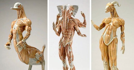 筋肉模型 木下雅雄の世界 304号室