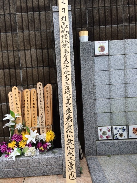 2014-08-10-16-01-10