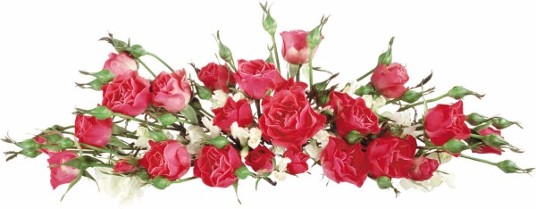 flower4067