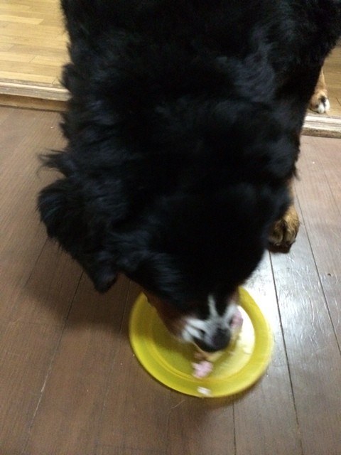 2014-07-30-20-22-04