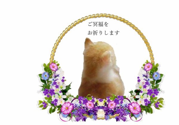 gomeifukuoinori
