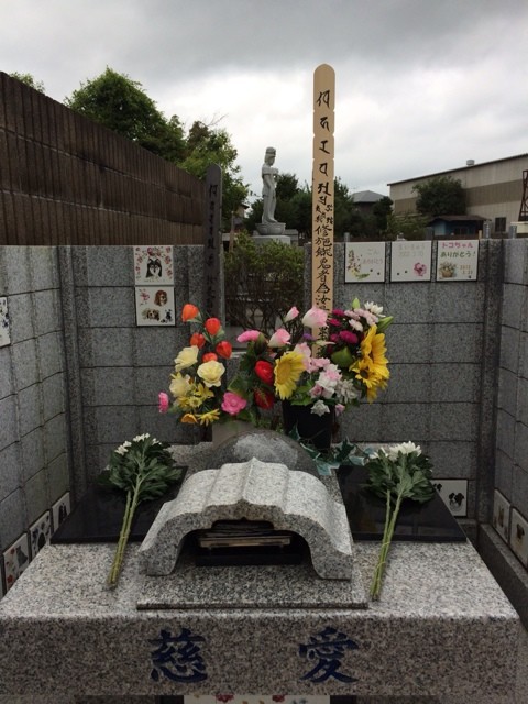 2014-08-10-16-00-52