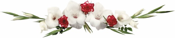 flower4120