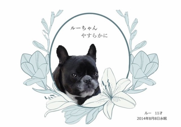 260809ruu2