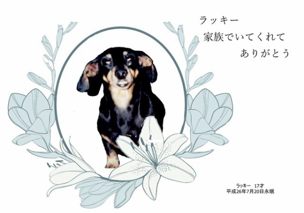260720lucky2