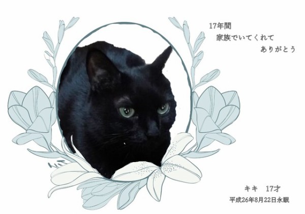 260822kiki2