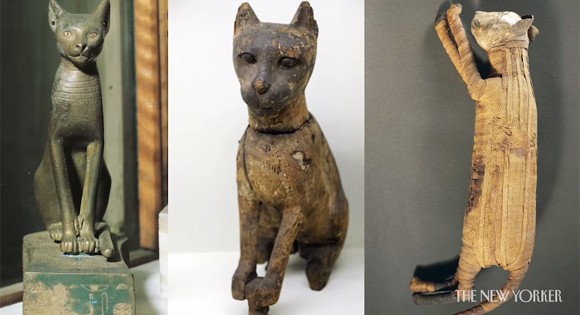 スクリーンショット-(1085)