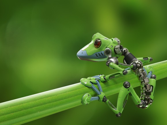 iStock-827679288_e