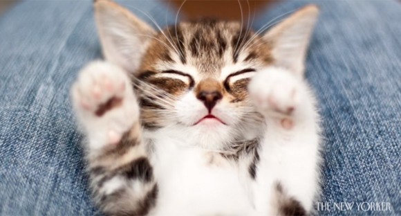 スクリーンショット-(1048)