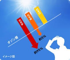 yjimage-6