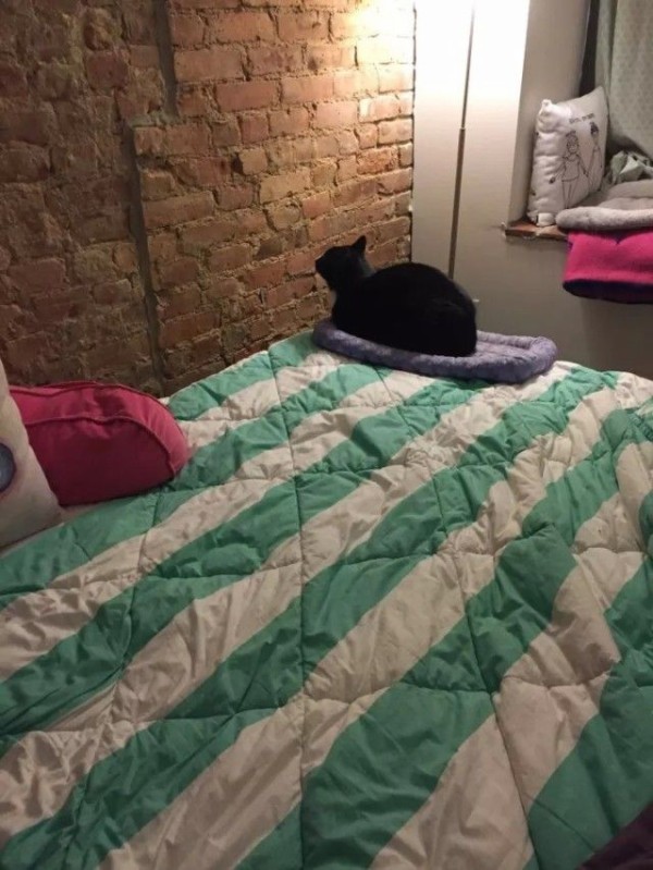 original-21716-1447343037-4_e