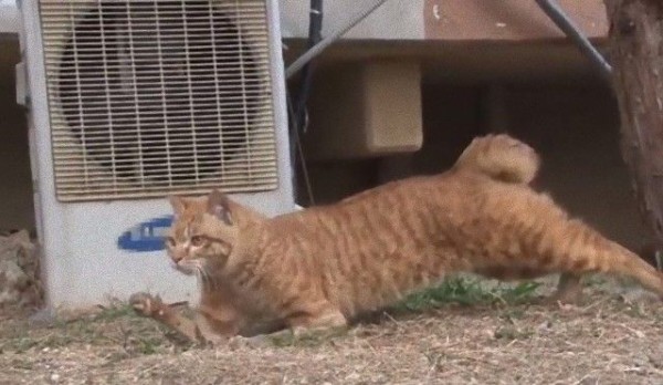 desktop-1497908519_e