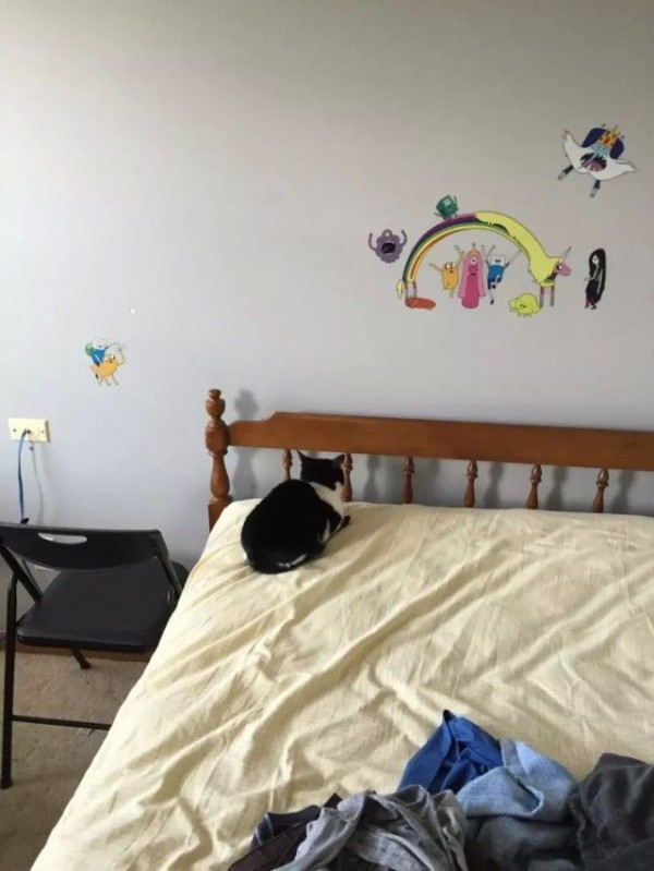 original-28242-1447262946-16_e