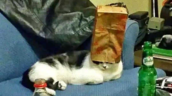 enhanced-20322-1447265629-5_ea