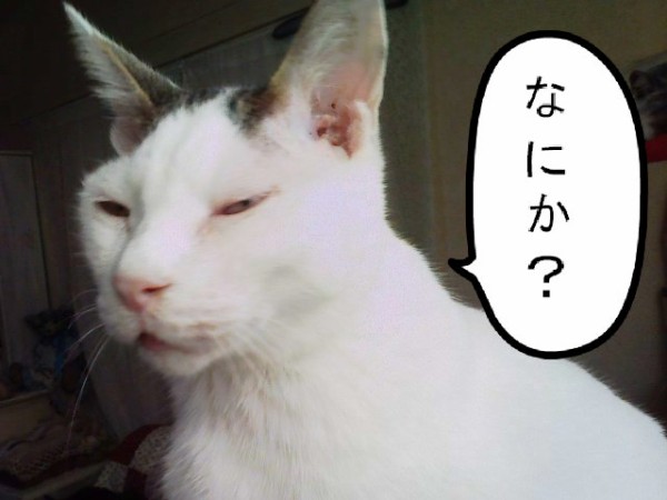 BlogPaint