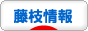 にほんブログ村 地域生活（街） 中部ブログ 藤枝情報へ