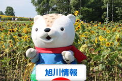 にほんブログ村 地域生活(街) 北海道ブログ 旭川情報へ