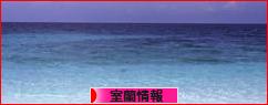 にほんブログ村 地域生活(街) 北海道ブログ 室蘭情報へ