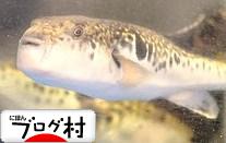 にほんブログ村 地域生活（街） 関西ブログへ