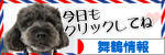 にほんブログ村 地域生活（街） 関西ブログ 舞鶴情報へ