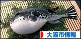 にほんブログ村 地域生活（街） 関西ブログ 大阪（市）情報へ
