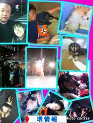 にほんブログ村 地域生活（街） 関西ブログ 堺情報へ