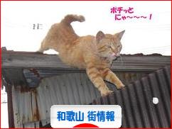 にほんブログ村 地域生活（街） 関西ブログ 和歌山 その他の街情報へ