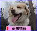 にほんブログ村 地域生活(街) 関東ブログ 前橋情報へ