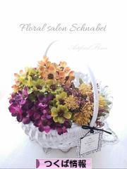 にほんブログ村 地域生活（街） 関東ブログ つくば情報へ