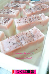 にほんブログ村 地域生活（街） 関東ブログ つくば情報へ