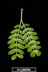 にほんブログ村 地域生活（街） 九州ブログ 鹿児島県情報へ