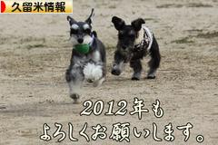 にほんブログ村 地域生活（街） 九州ブログ 久留米情報へ