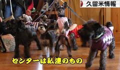 にほんブログ村 地域生活（街） 九州ブログ 久留米情報へ