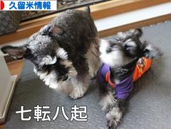 にほんブログ村 地域生活（街） 九州ブログ 久留米情報へ