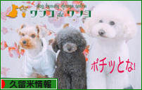 にほんブログ村 地域生活(街) 九州ブログ 久留米情報へ