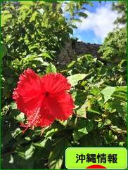 にほんブログ村 地域生活(街) 沖縄ブログ 沖縄県情報へ